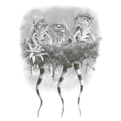 REGGAE IGUANAS 05321SA6.gif